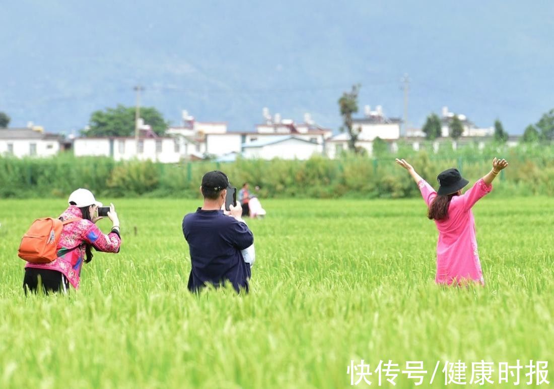 业务|全国多个省区市发文：暂停跨省旅游业务