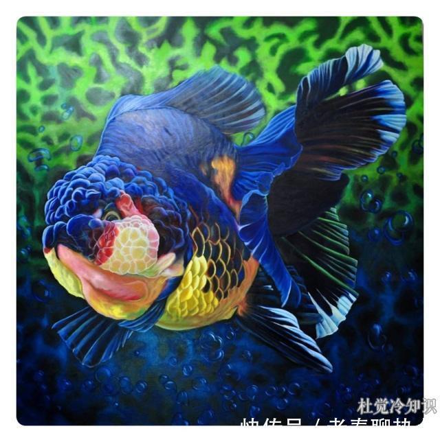 胡萝卜|每日冷知识——大姨妈也有好处！