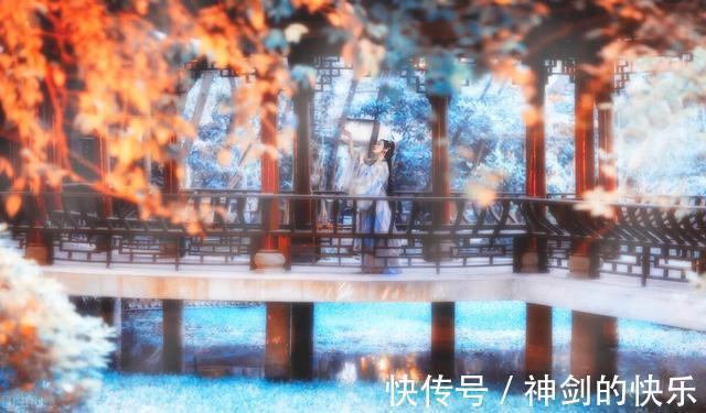 |几本让人笑得肚子疼的搞笑类小说,主角思路清奇骚操作不断