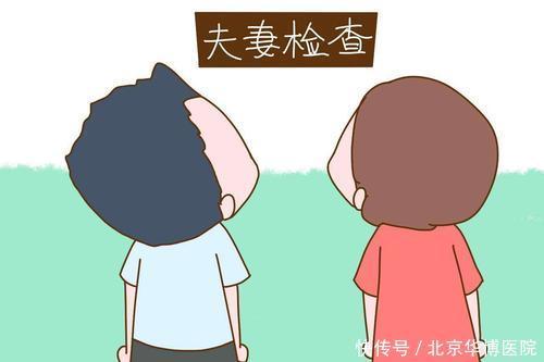 a156|备孕期间,这几个知识点必须要知道