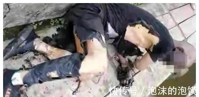 又一位钓鱼主播野钓时溺亡!血淋淋的教训,为何还有人不当回事?