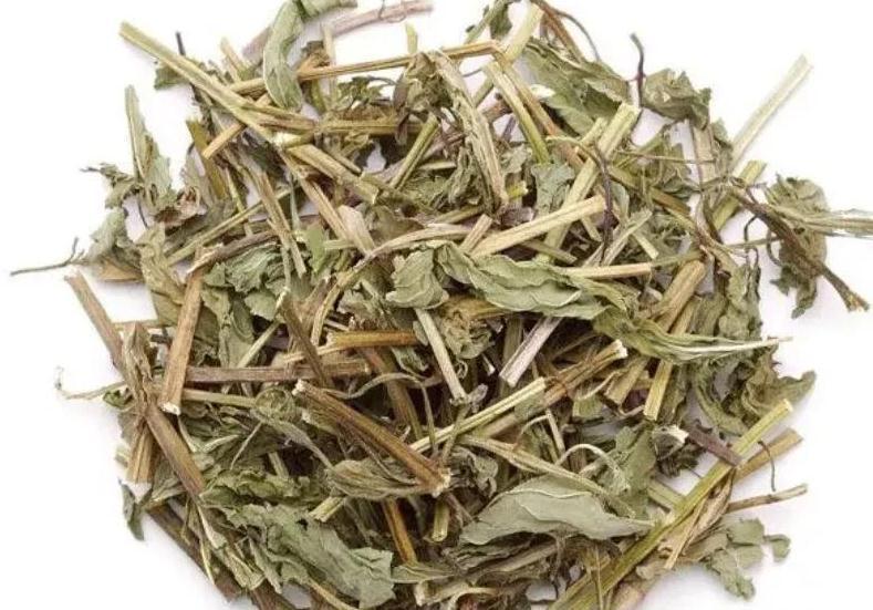 家里只养4种健康花,食用美化环境两不误