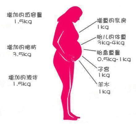 高跟鞋|怀孕期间长的重量都去了哪里?不止胎儿和羊水,还有这四个地方