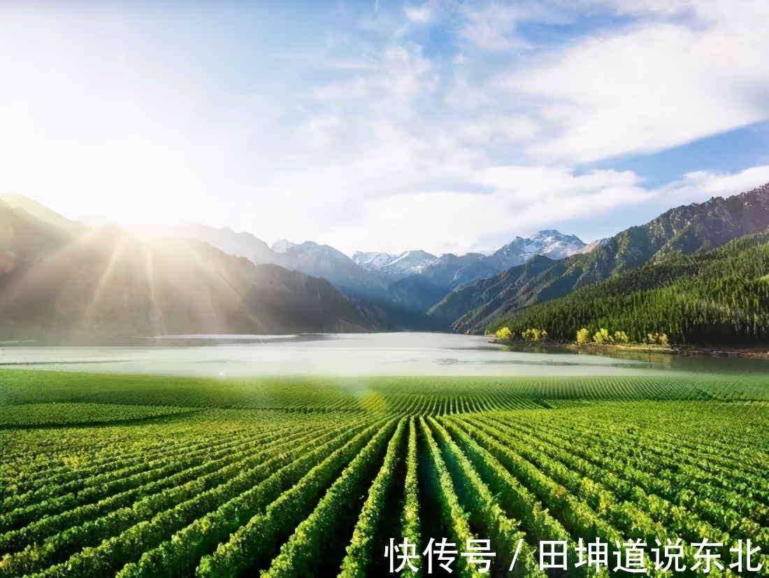 食品安全隐患就在身边!身体健康离不开吃的健康|田坤道| 西瓜