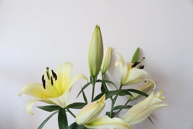 睡眠质量|长期失眠，身体受不了多吃4种天然食物，养心安神，远离失眠