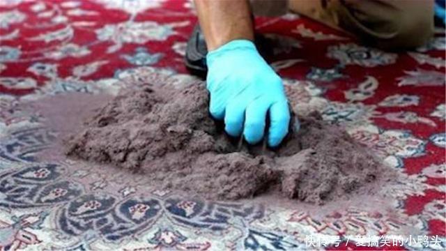 为什么中国人不用地毯？看完老外清洗过程就明白了