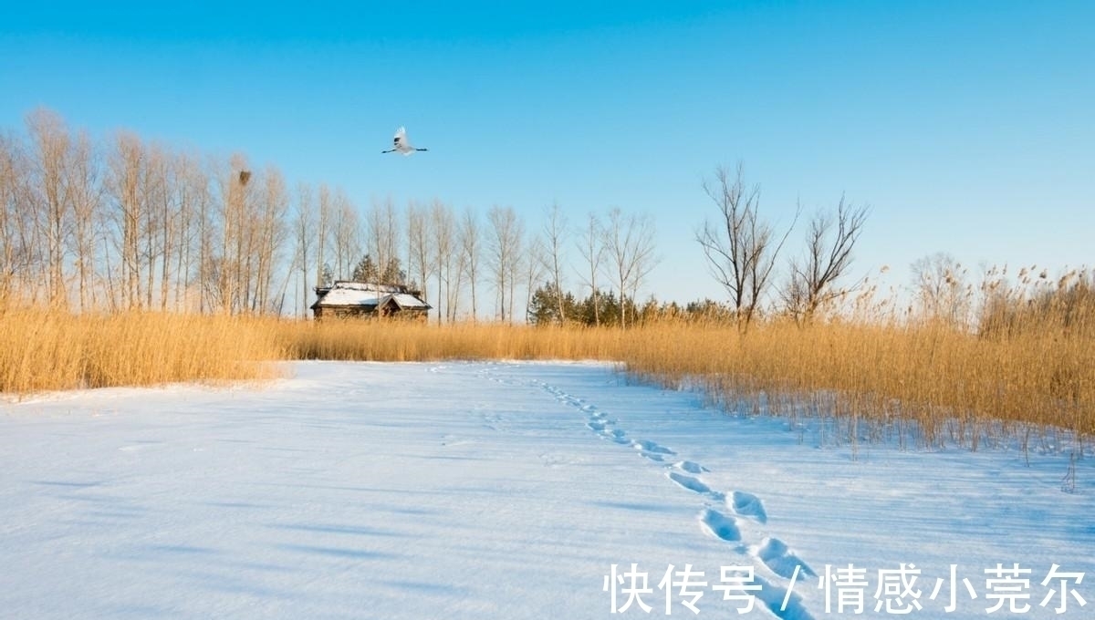 硕士|硕士毕业四十岁下岗,转行开滴滴,普通人的痛只能自己默默承受!