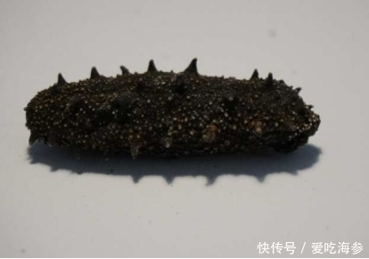 保质期|干海参的保质期是多久?冬季如何保存好?