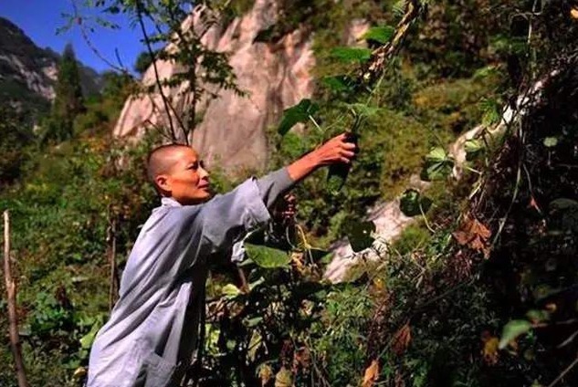 终南山上的上万“隐士”，真的全都看破红尘当地人都是假的