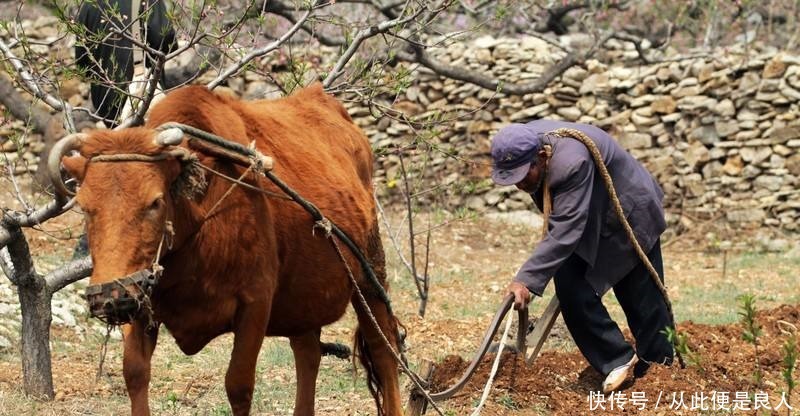 时期规定|历史冷知识,在我国古代不允许吃,我们都被影视作品骗了!