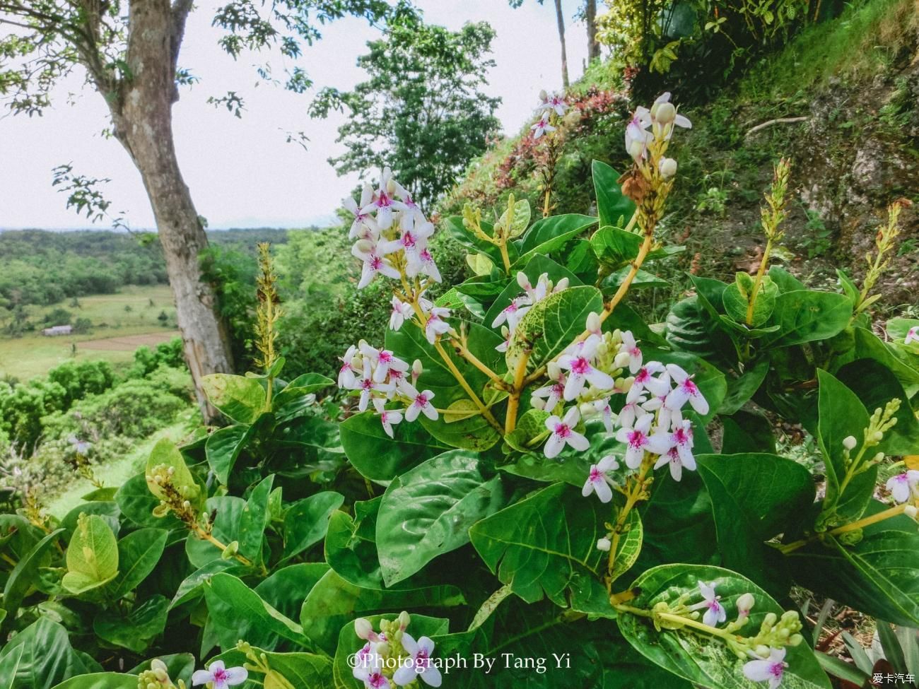 机场|【年终盛典】关于菲律宾的菲常记忆