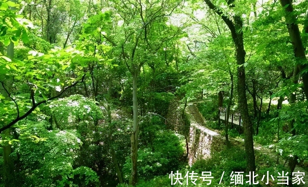 这首诗&王维很经典的1首绝句,如果现在参赛,未必能获奖,你觉得呢?