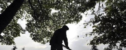 看完|一村子世代给一女子守墓,乾隆曾想打开,但看完碑上八字立刻放弃!