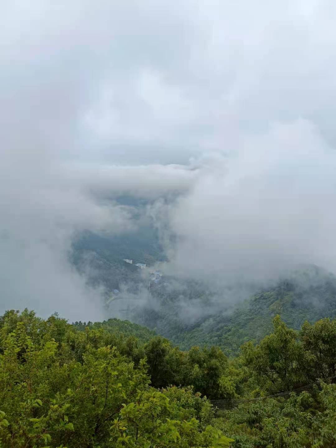 仙境|济南南山跑马岭再现云海景观,青山云海宛如仙境