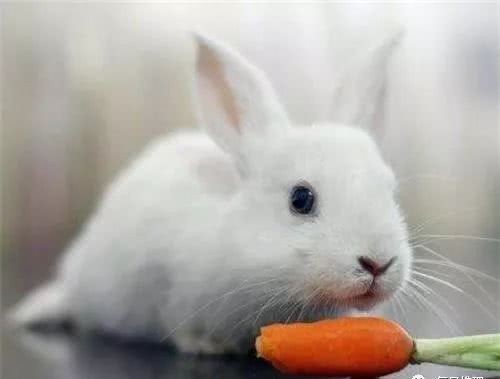 发明|冷知识!爵士乐是谁发明的?