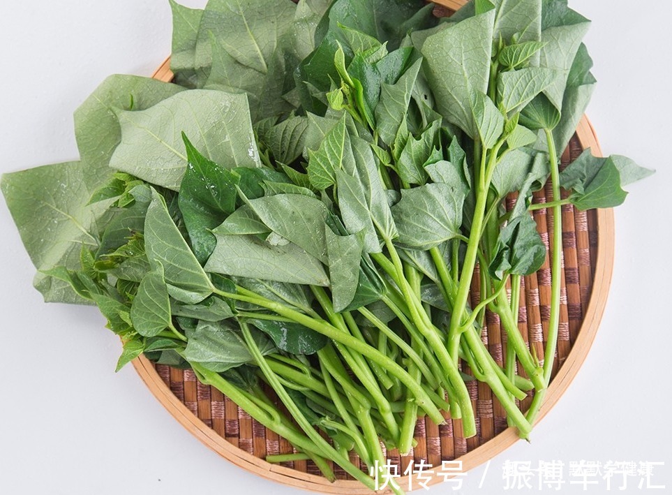 红薯叶|入秋后,大鱼大肉靠边站,多吃“秋天5宝”,应季而食安稳过秋