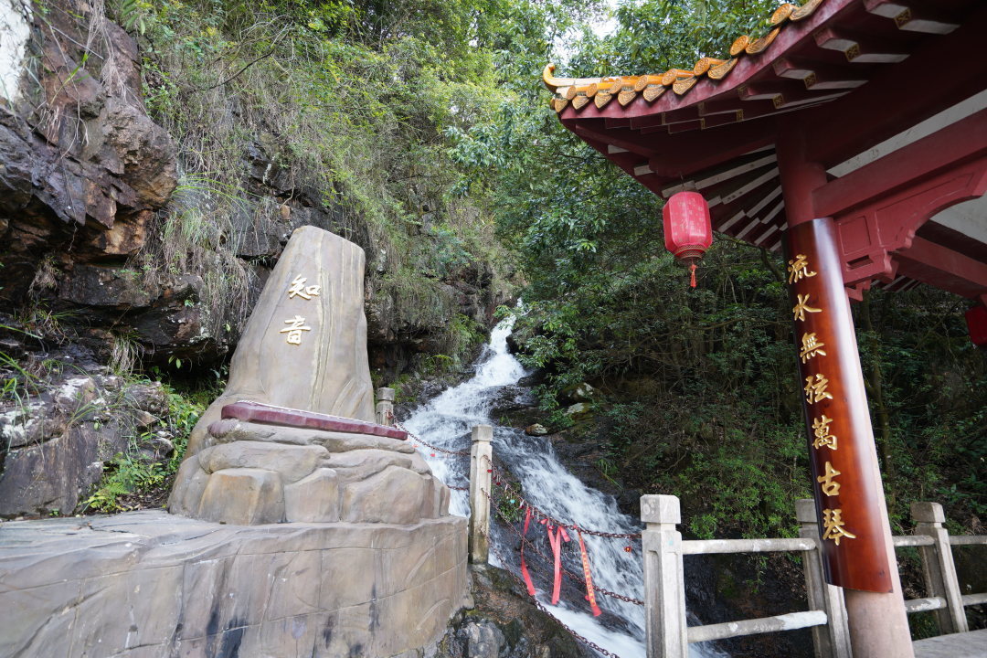 重阳|观音山重阳登高敬老行，品素食、许心愿…多重好礼不停歇！