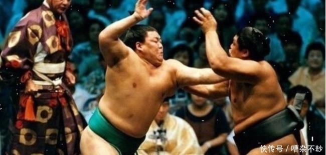 日本|日本相扑手都膘肥体壮, 为何女明星们都想要嫁? 原因非常客观