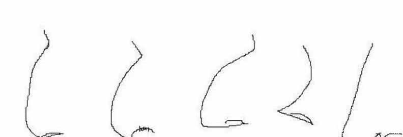 鼻子形状好看是一种什么样的感受?鹰钩鼻最逆天,不信你不心动