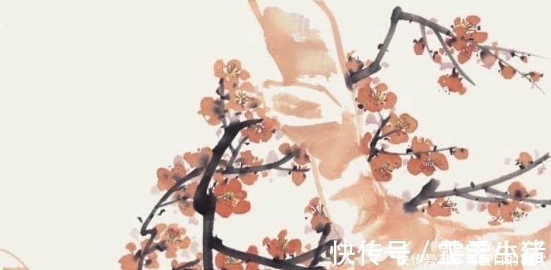 唯美&杜甫的这首《江梅》,也是不应该被忽略,写出了最深情的梅花!