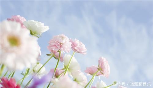 课本上罕见的7个汉字,在日本很常见,很多人读错了,不信你试试