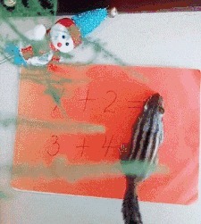 |搞笑GIF段子:这么漂亮的妹子敢嫁你,你敢娶么!