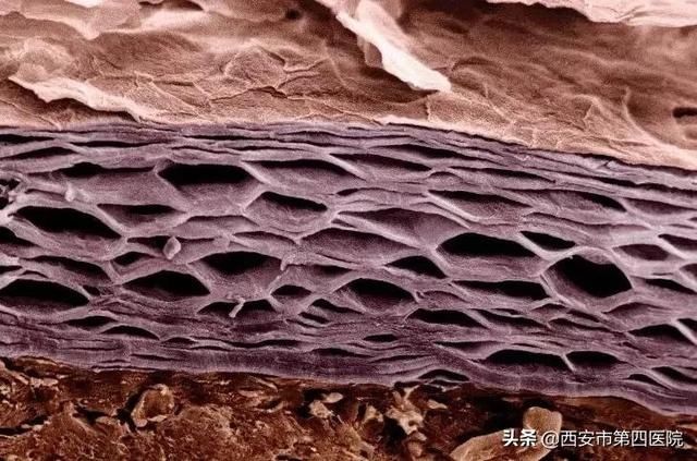 皮肤过敏|#安心变美课堂##我的安心变美推荐# 皮肤过敏急救大法!!