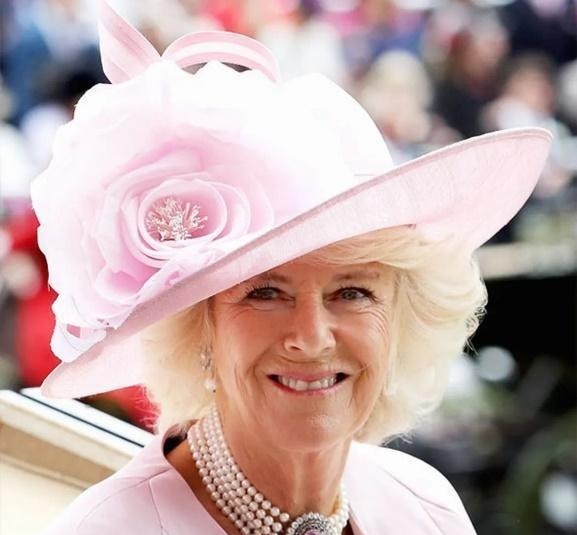 蓝宝石!戴安娜婚戒平淡无奇,卡米拉婚戒是无价之宝,查尔斯送礼太偏心了