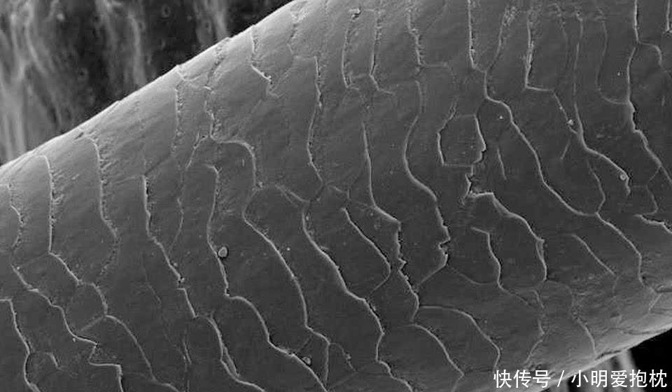 护发素|你的头发够柔顺吗?想要头发柔顺的看过来