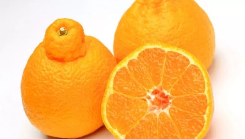 草莓|世界上最贵的水果,吃过3种以上的都是土豪啊