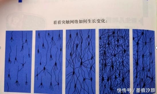 别跟孩子一般见识,他们脑子还没长好呢!