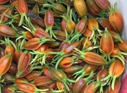 女性不想变黄脸婆,推荐多吃3种食物,美容养颜、滋润身体!