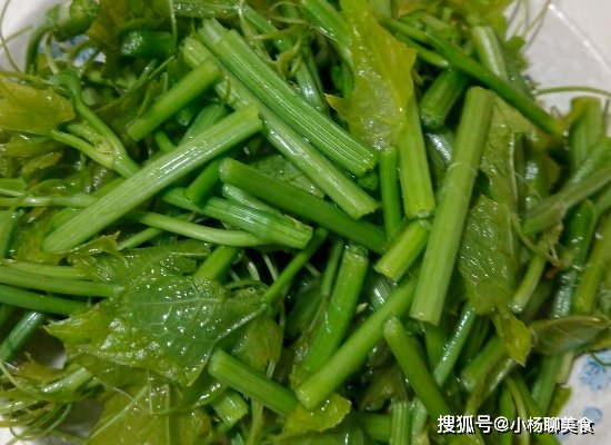 瓜苗|夏天遇到这菜一定要买，清口爽脆，敞开吃不长肉，还变瘦