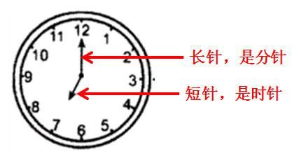 复习|北师大版一年级数学上册期末复习要点