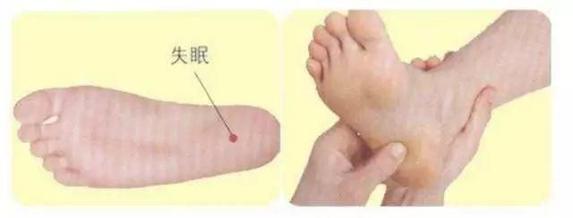  入睡|入睡困难吃它、容易醒吃它、睡不饱吃它，一吃一个准！