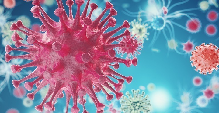 清洁工|“中药抗生素”的鱼腥草不仅营养价值高,还有肺部清洁工的称号!