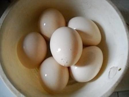 日本人长期必吃的“长寿菜”,我国产量大但没人吃,含钙比牛奶高