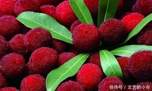 女性不想满脸皱纹，可以多吃三种食物，滋润肠胃，明目养神