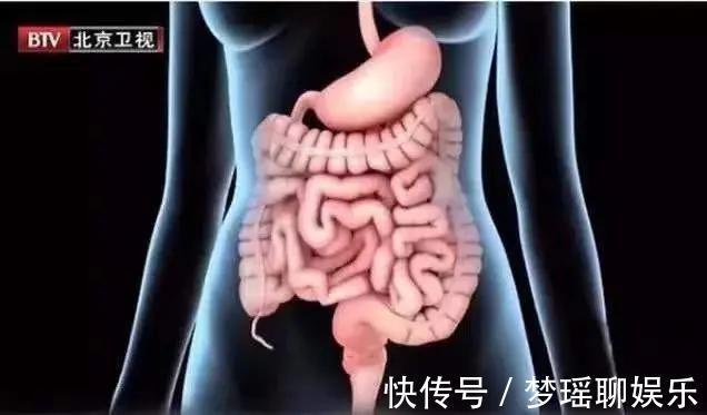 脾阳虚|吃不胖和瘦不了,可能都是“它”惹的祸!一次性告诉你