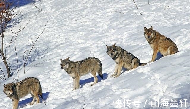 任正非|华为董事长选举投票遇冷,任正非讲了一个故事,下午全票通过