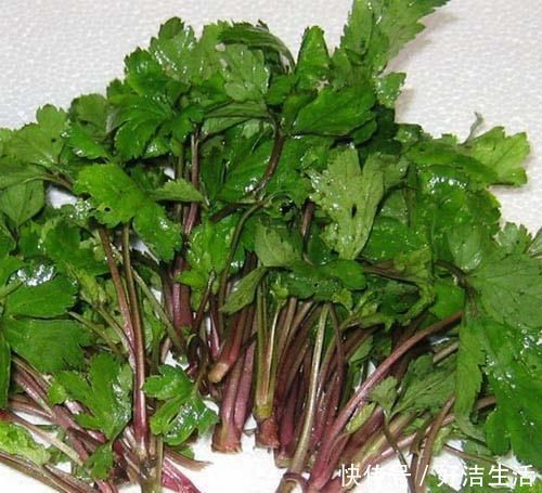 野菊花|这种野菜长得很像“野菊花”,非常受欢迎,还可以治老风湿