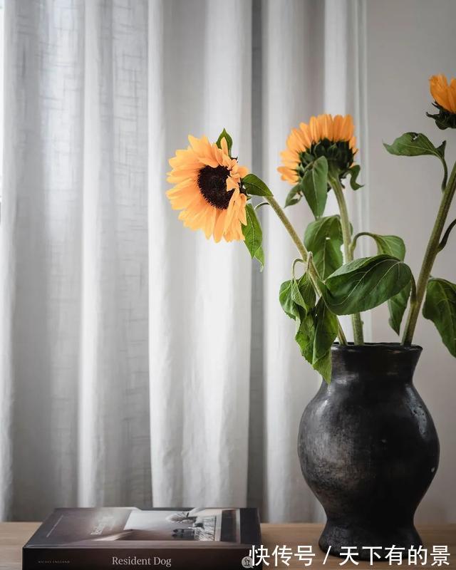 小白砖|67㎡长条户型靠开放式大两倍，也太通透了吧