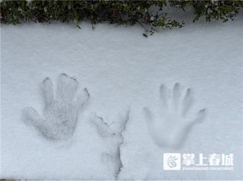 昆明|雪中胜景｜今天的雪景里藏了好多昆明人的“小确幸”