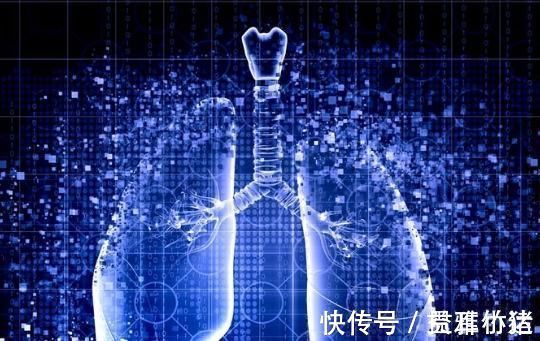 肺结节|3种结节一定要及时切除，大夫说3个部位最好每年都体检1次！