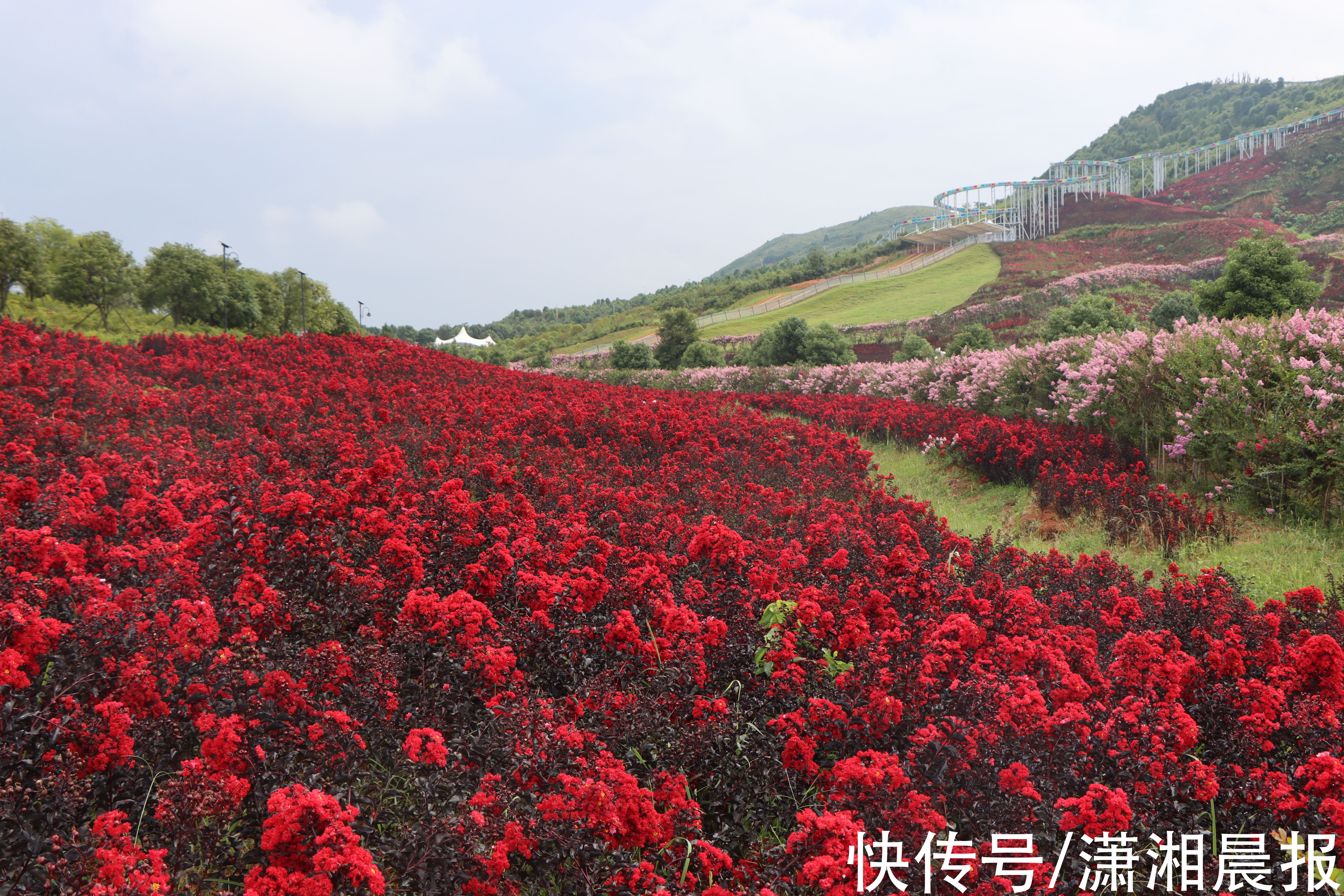 井冈山|漫步多彩茶陵，漫步时光里