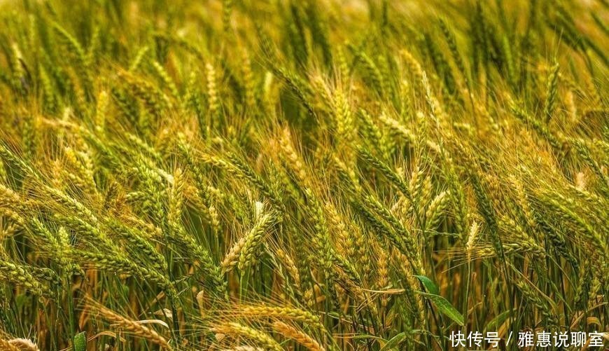 汉武帝发动对匈奴的战争,主要是因为匈奴