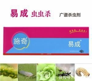 杀不死的“小黑飞”教你4种方法，整个夏天养花，清净了！