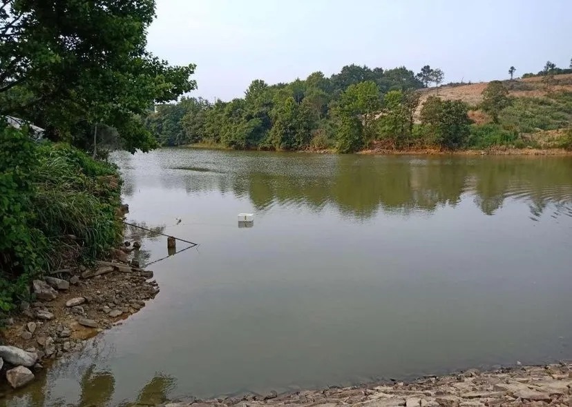 钓鱼|陌生水域找鱼的4个“独门绝技”，让你鱼口不停！钓鱼人一般都不想告诉别人！