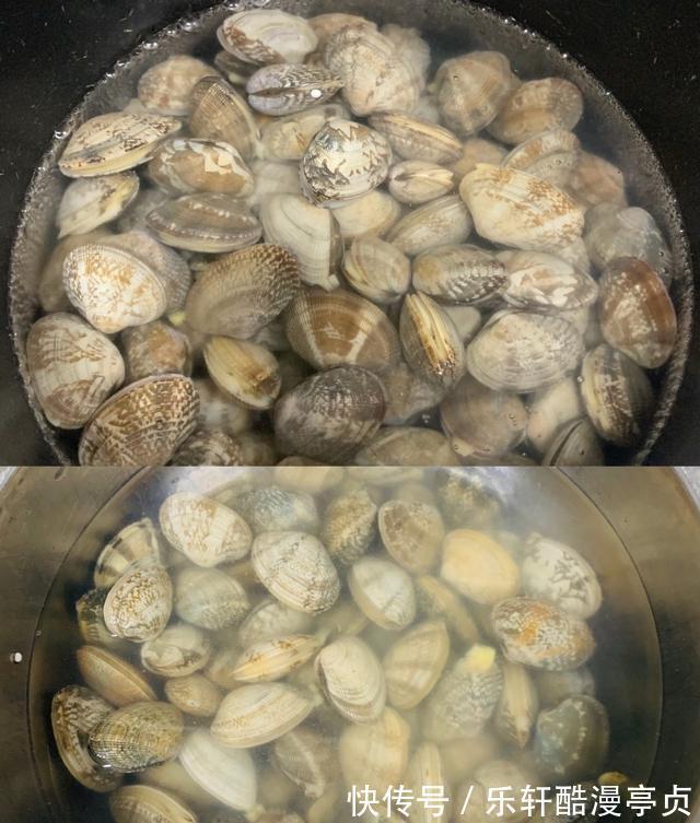 辣炒小海鲜|辣炒小海鲜,川香炒花蛤,口感鲜香麻辣,肉质鲜嫩十足,够味