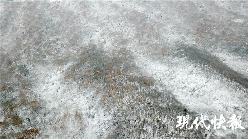 雪落|雪落紫金山，许你一个冰雪世界